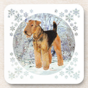 Wintertime Coaster
