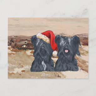 Wintertime Skye Terriers Postcard