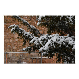 Wintertime , snow on the trees poster