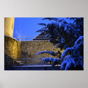 Wintertime , snow on the trees poster