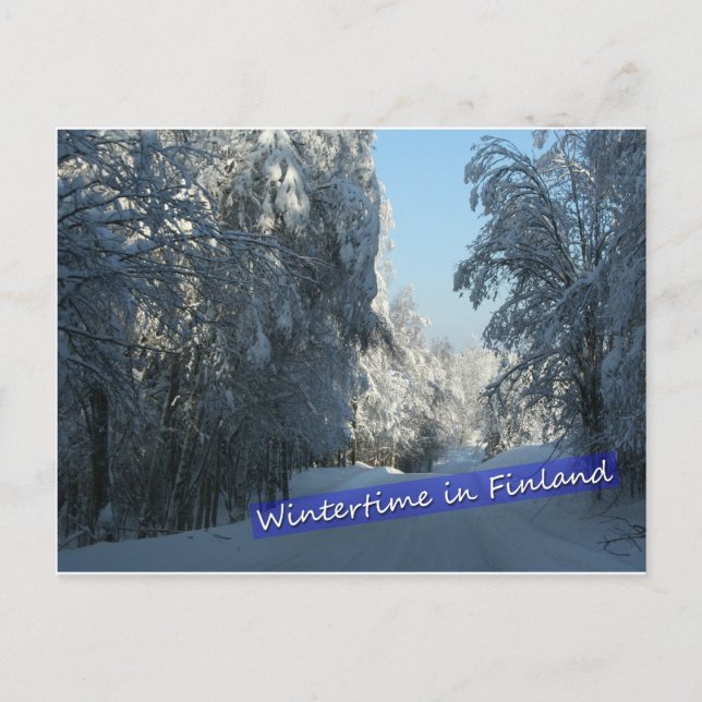 Wintery Country Road Postcard (Front)