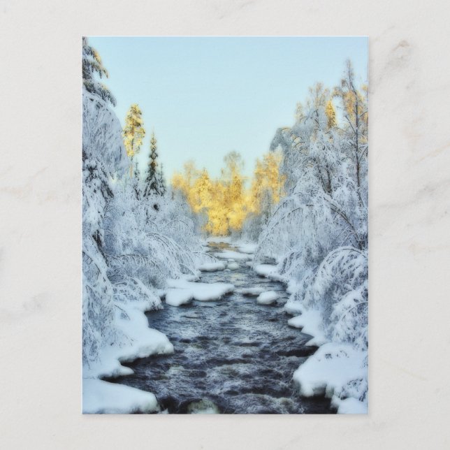 Wintery Stream Postcard (Front)