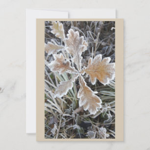 „Winterzauber – Einladung mit vereistem Blatt“ Card