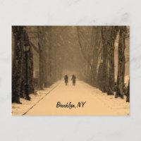 Wintry Brooklyn