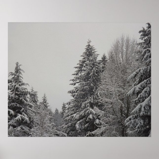 Wintry Forest Poster (Front)