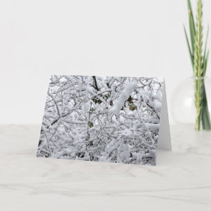 Wintry Frozen Branches Card