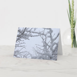 Wintry Frozen Branches Framing Sky Card