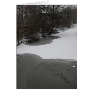 Wintry Lake