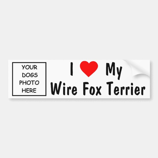 Wire Fox Terrier Bumper Sticker (Front)