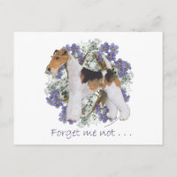 Wire Fox Terrier Forget-Me-Not