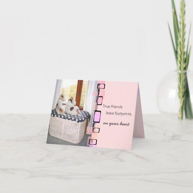 Wire Fox Terrier Greeting Card (Front)