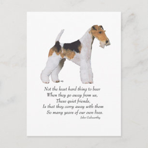 Wire Fox Terrier Rainbow Bridge Postcard