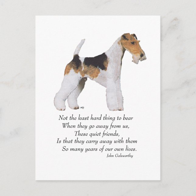 Wire Fox Terrier Rainbow Bridge Postcard (Front)