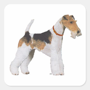 Wire Fox Terrier Square Sticker