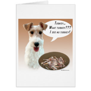 Wire Fox Terrier Turkey