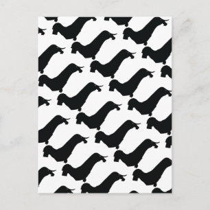 Wire Hair Dachshund Postcard