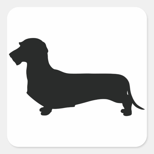 Wire Hair Dachshund Square Sticker (Front)