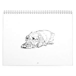 Wire Haired Dachshund 2027 Calendar