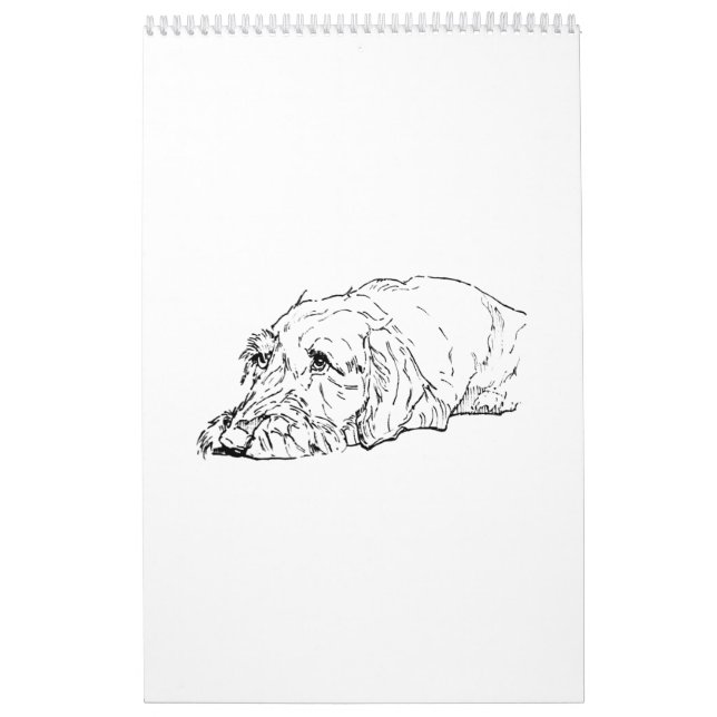 Wire Haired Dachshund 2027 Calendar (Cover)