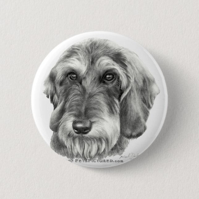 Wire-Haired Dachshund 6 Cm Round Badge (Front)
