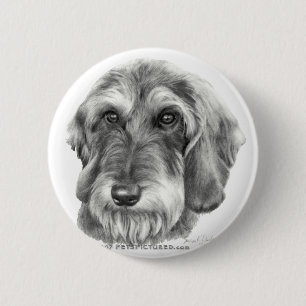 Wire-Haired Dachshund 6 Cm Round Badge