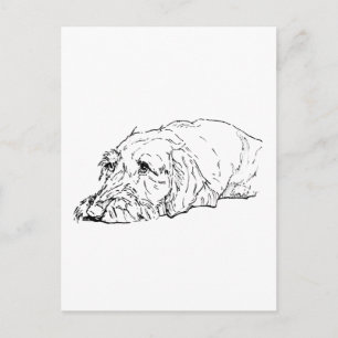 Wire Haired Dachshund Art - Cute Postcard