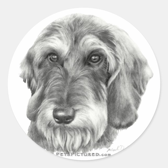 Wire-Haired Dachshund Classic Round Sticker (Front)