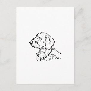 Wire Haired Dachshund Dog Parent Postcard