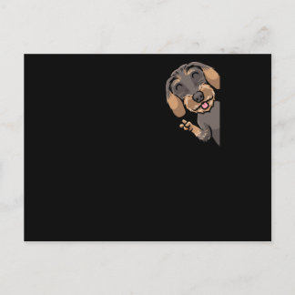 Wire-Haired Dachshund Dog Postcard
