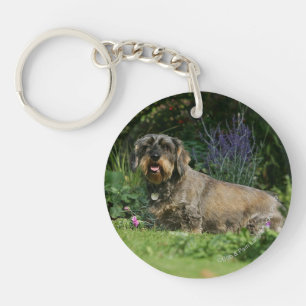 Wire-haired Standard Dachshund Sitting Key Ring