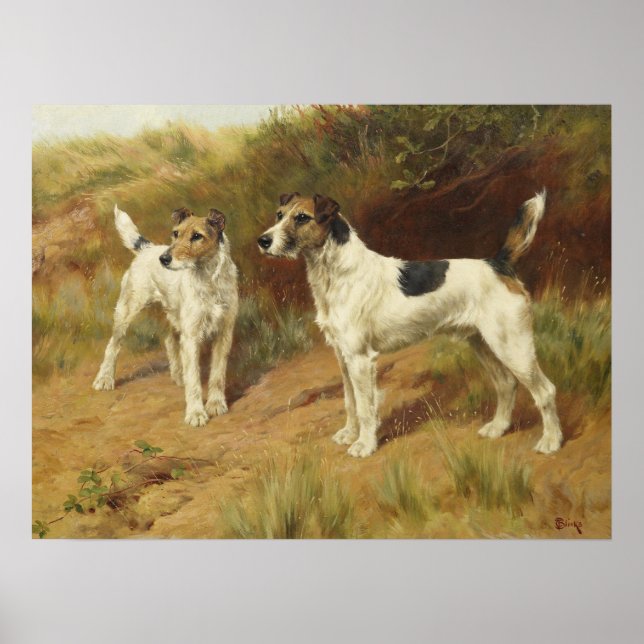 Wire Haired Terriers by Thomas Blinks Poster (Front)