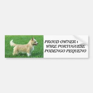 Wire Portuguese Podengo Pequeno Bumper Sticker