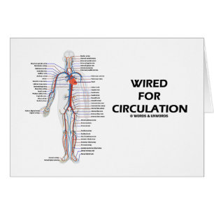 Wired For Circulation (Circulatory System)