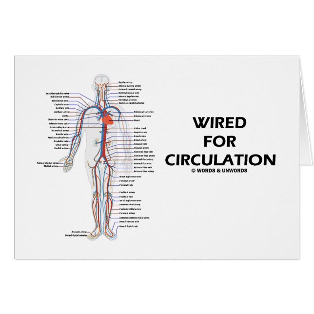 Wired For Circulation (Circulatory System) (Front Horizontal)