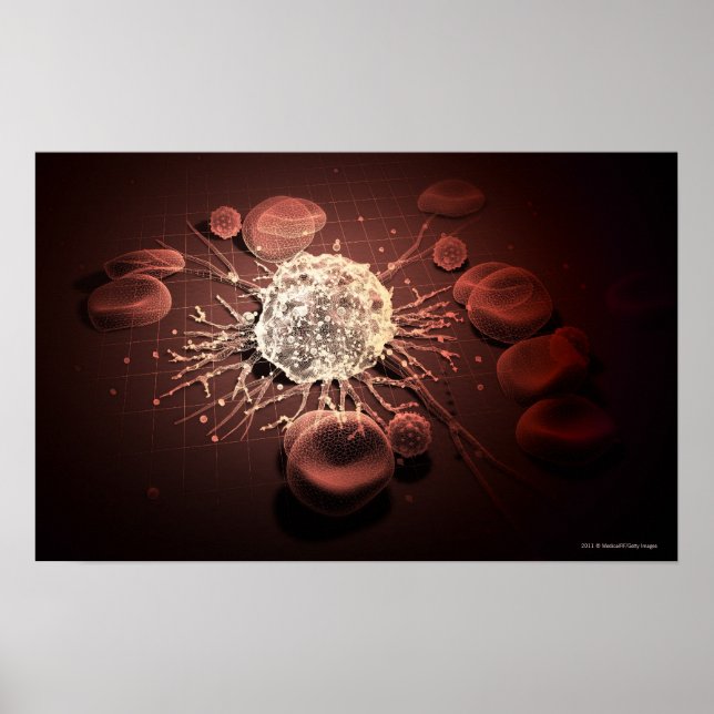 Wireframe of cancer cells poster (Front)