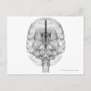 Wireframe of the brain postcard