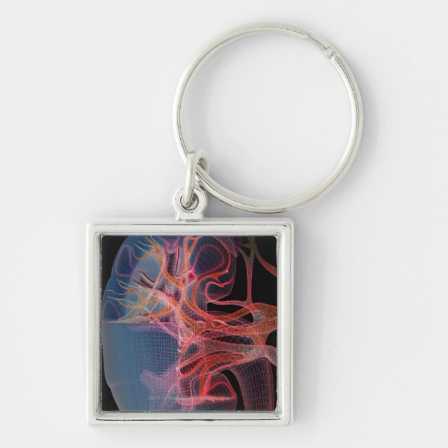 Wireframe of the inside of a kidney key ring (Front)