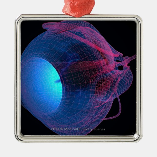 Wireframe of the muscles of the eye metal tree decoration (Front)
