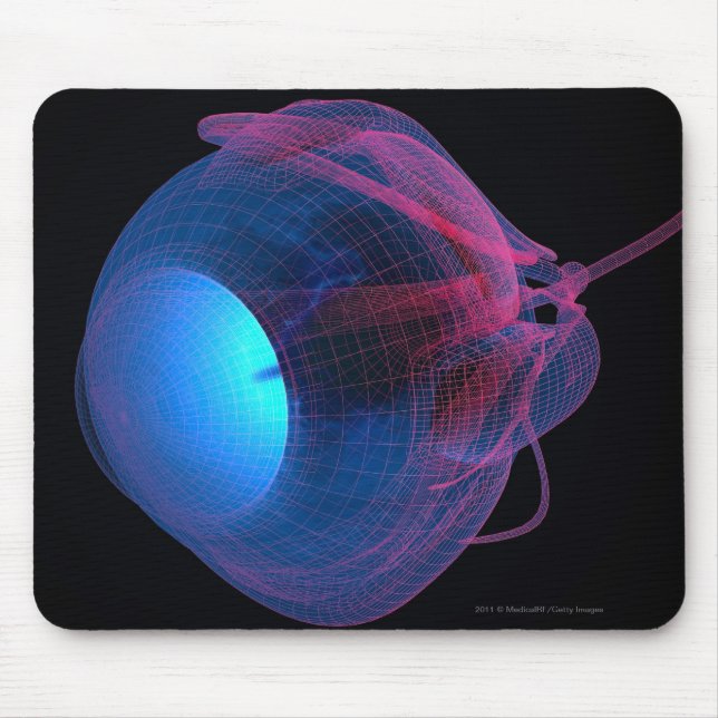 Wireframe of the muscles of the eye mouse pad (Front)