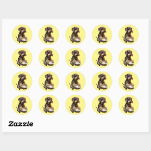 Wirehair Dachshund Playing Drums Classic Round Sticker