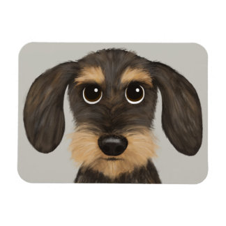Wirehaired Dachshund | Cute Cartoon Dog Teckel Magnet