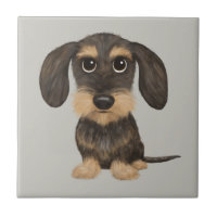 Wirehaired Dachshund | Cute Cartoon Dog Teckel