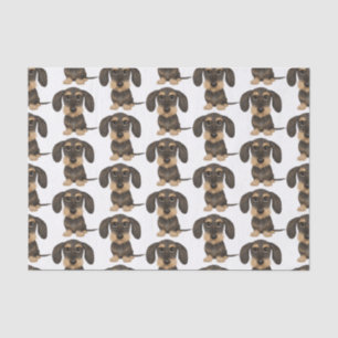 Wirehaired Dachshund Cute Teckel Dog Patterned Tissue Paper