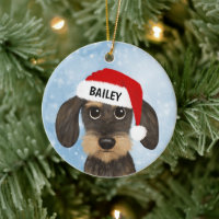 Wirehaired Dachshund Santa Teckel Dog Custom Name