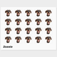Wirehaired Dachshund