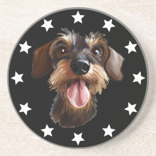 Wirehaired Dachshund Stars Coaster