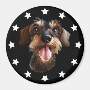 Wirehaired Dachshund Stars Magnet