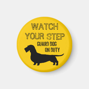 Wirehaired Dachshund Watch Your Step Magnet