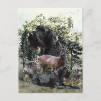 Wirehaired Pointer , Outdoors Hunting