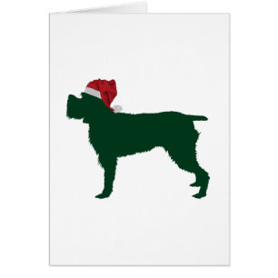 Wirehaired Pointing Griffon